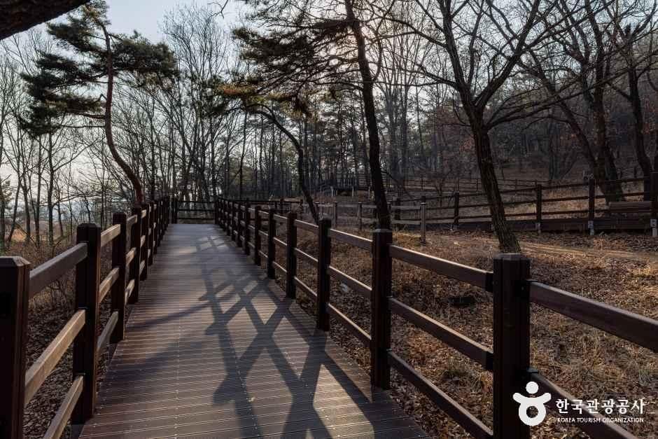 인천_계양공원 (3).jpg