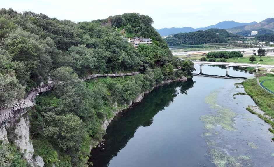 밀양_용두산 생태공원 (1).JPG