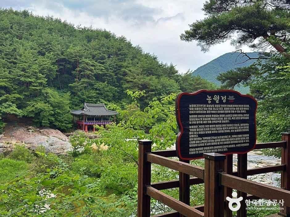 경남_함양_농월정_외부_3.JPG