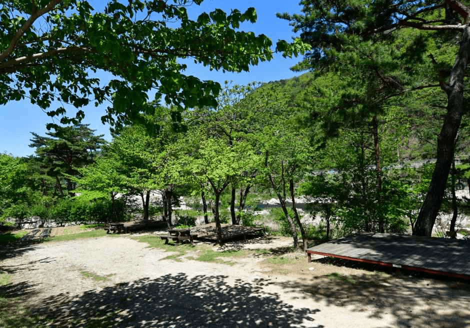 인제_솔방울 펜션캠핑장 (5).png