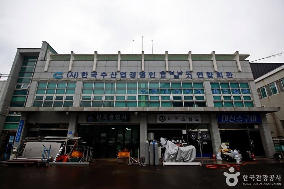 대천항 아인스월드 (2)