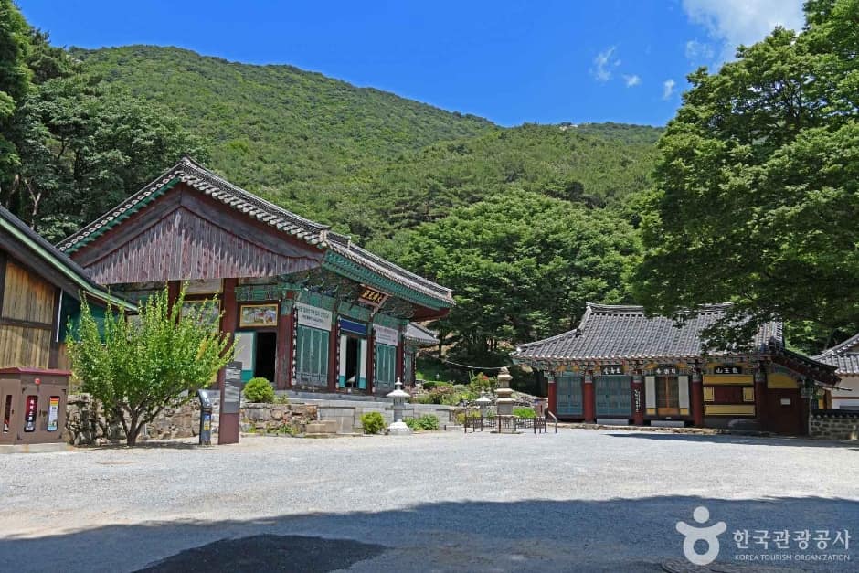 일락사 (2)