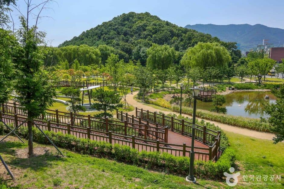 대구대표도시숲 (2)