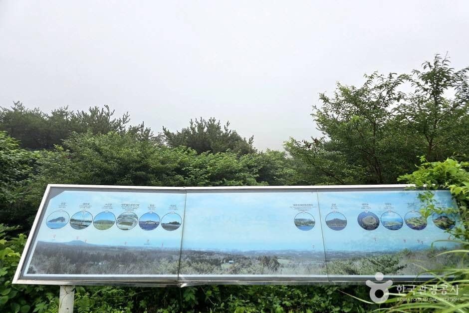 거린사슴_e (1)