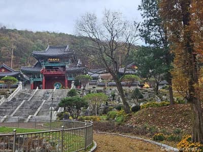 금강대도