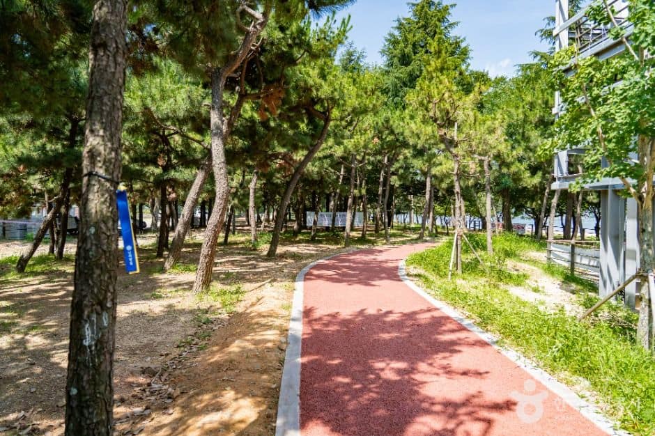 광양_배알도수변공원 (7)