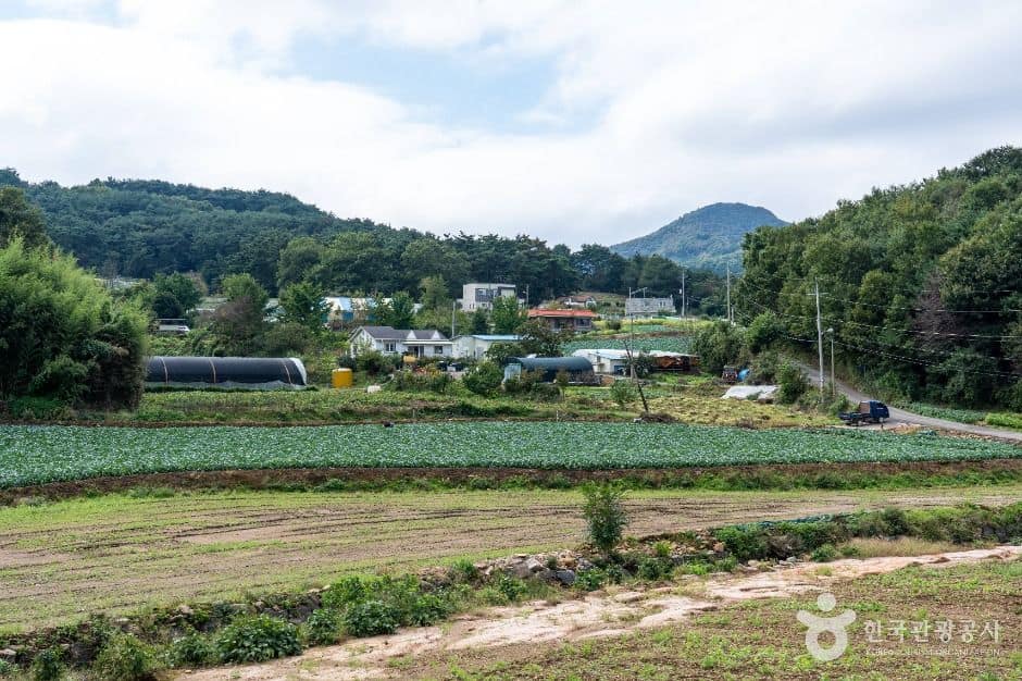서산시_서산 꽃송아리마을 (5)