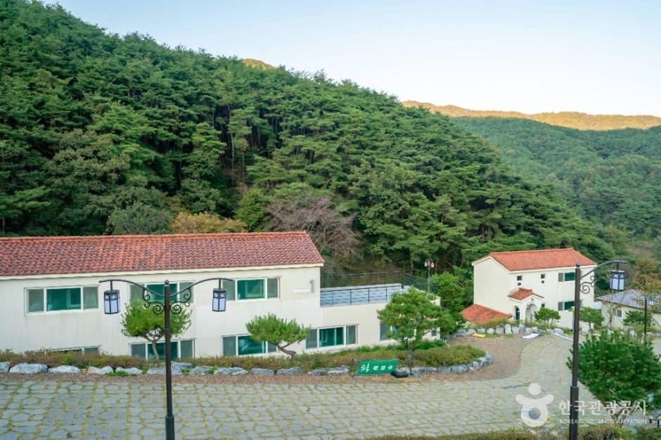 청도_성모솔숲마을 (3)