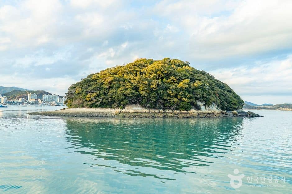완도_주도 (2)