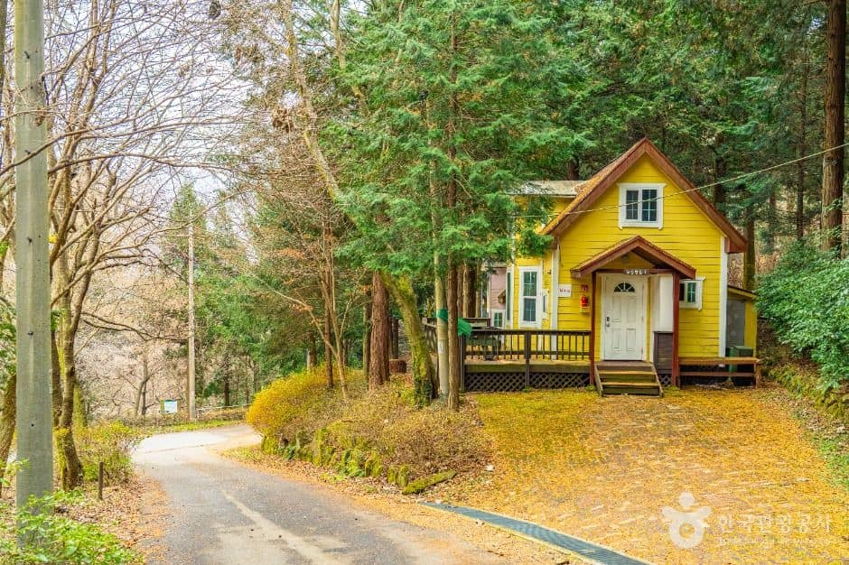 화순_무등산편백자연휴양림(7)