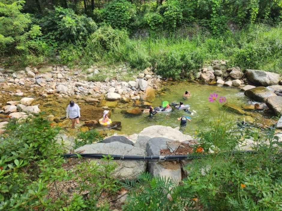 포천_산정호수돌고래캠핑장 (1).jpg