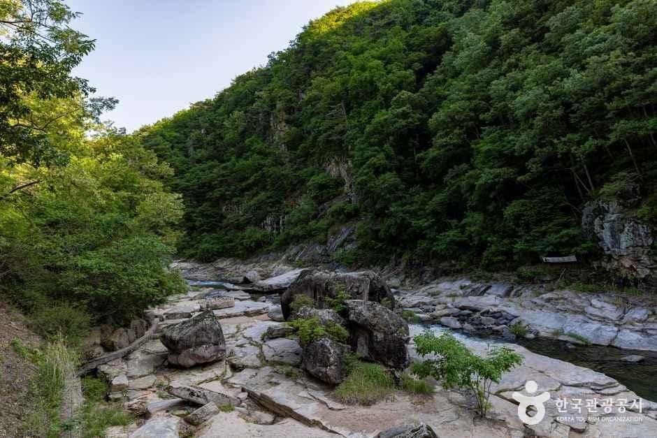 단양_선암계곡(하선암) (6).jpg