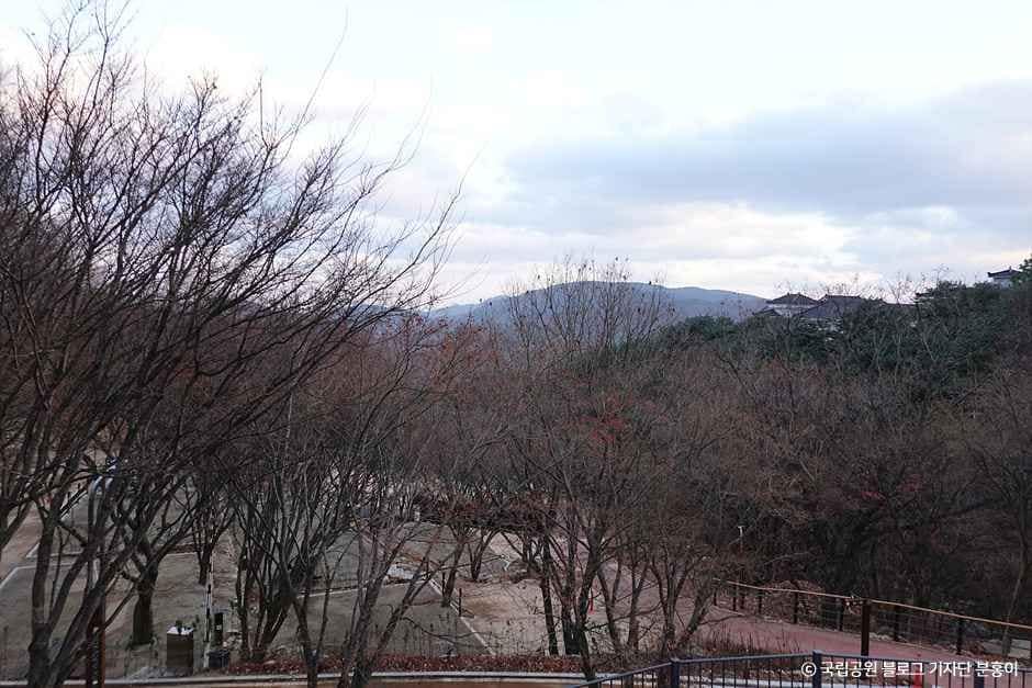 성주_가야산국립공원 백운동자동차야영장 (5).jpg