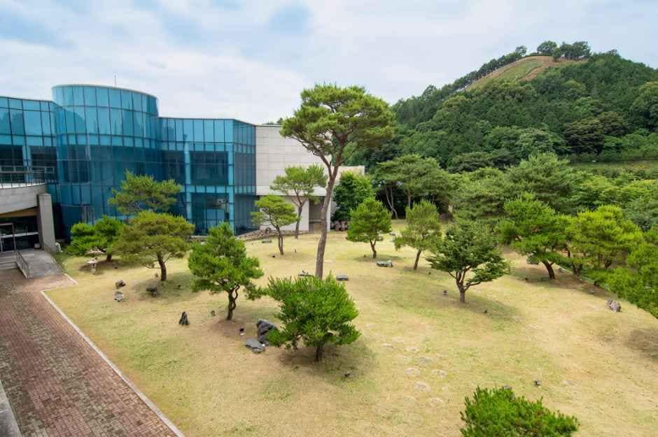 함평_함평군립미술관 (4).jpg