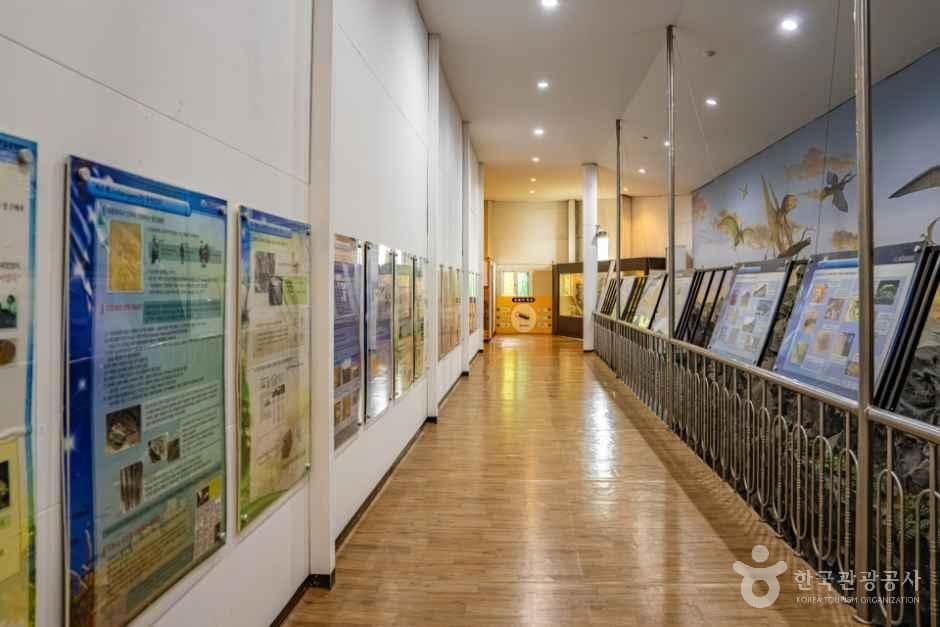 시흥_창조자연사박물관 (6).jpg