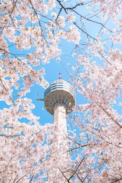 대구_이월드 (15).jpg