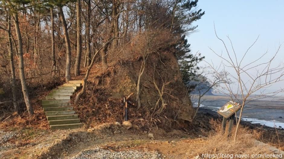 경기도_안산시_대부해솔길 3코스_길