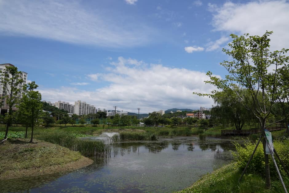 충남_천안_청수호수공원_풍경4