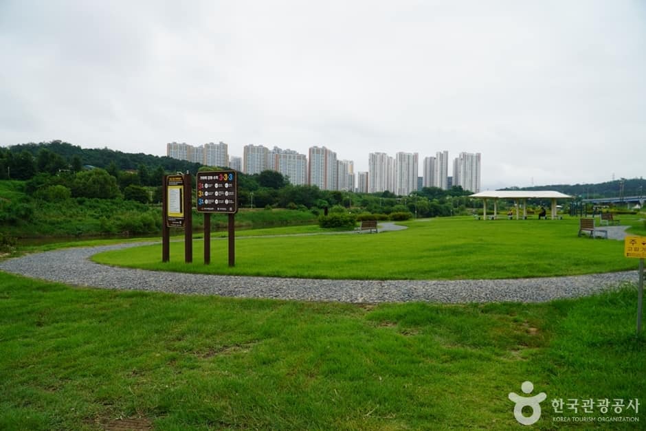왕숙천물놀이장11
