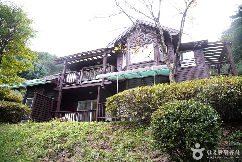 국립 백운산자연휴양림(원주) (10)