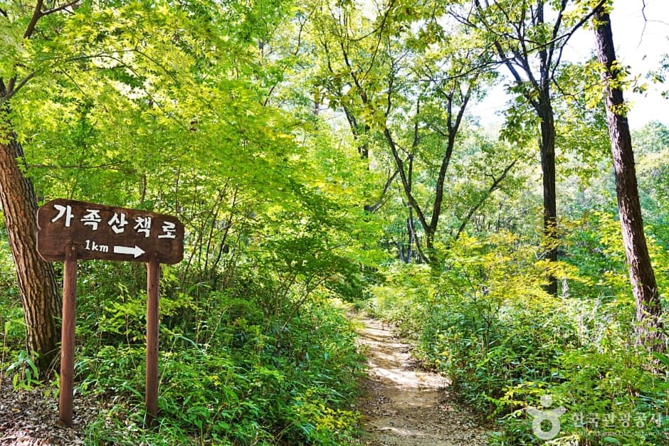 경북_문경_국립 대야산자연휴양림 (2)