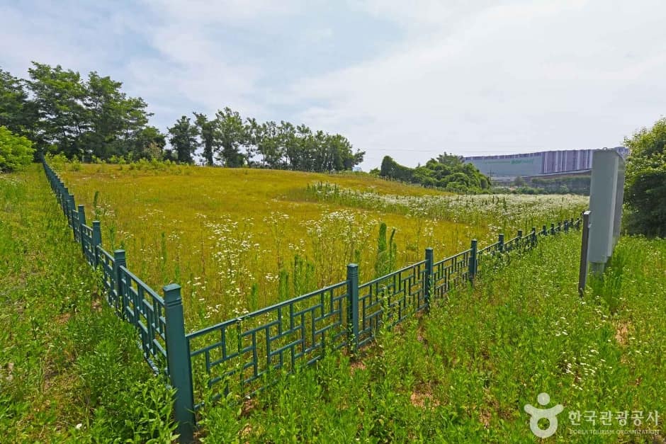 진천 산수리와 삼용리 요지 (2)
