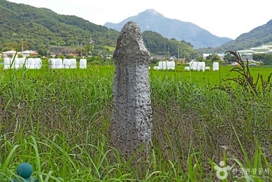 사곡리남근석 (3)