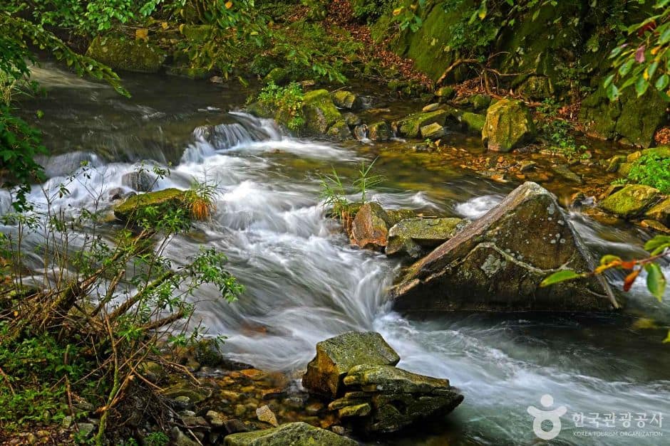 덕산계곡 (2)