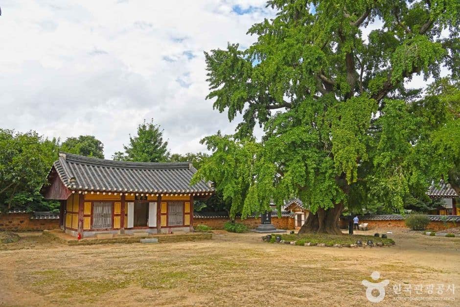 영광향교 (7)