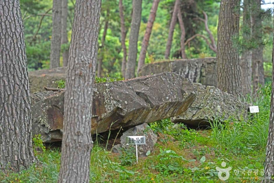영광_영광 성산리지석묘군 (7)