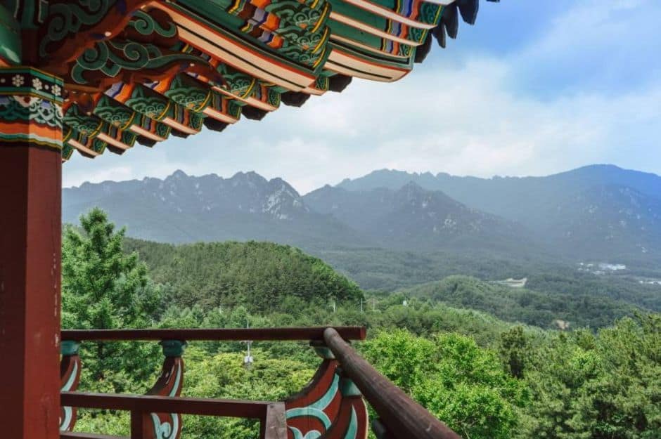 정견대 (1)