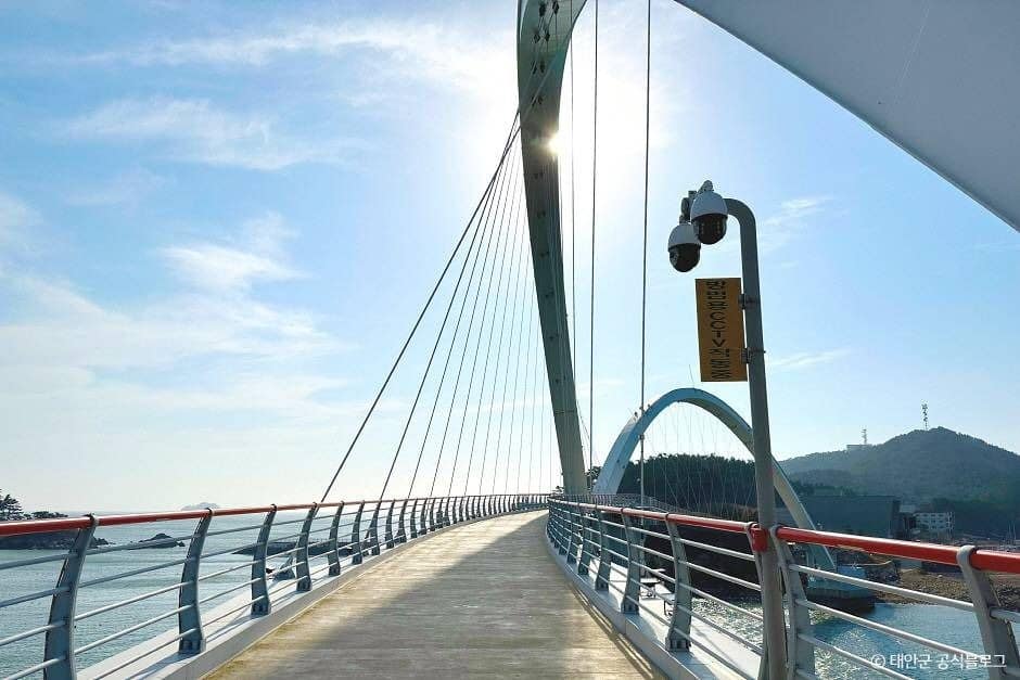 태안_안흥나래교 (4)