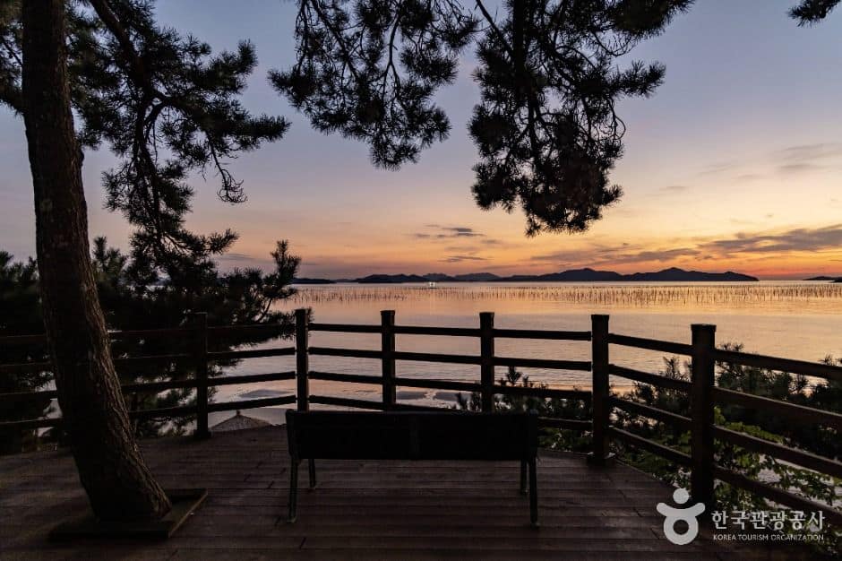 신안_추포해변 (6)