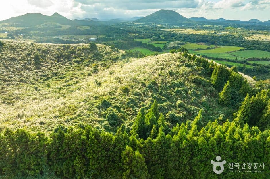 제주_손지오름 (8)