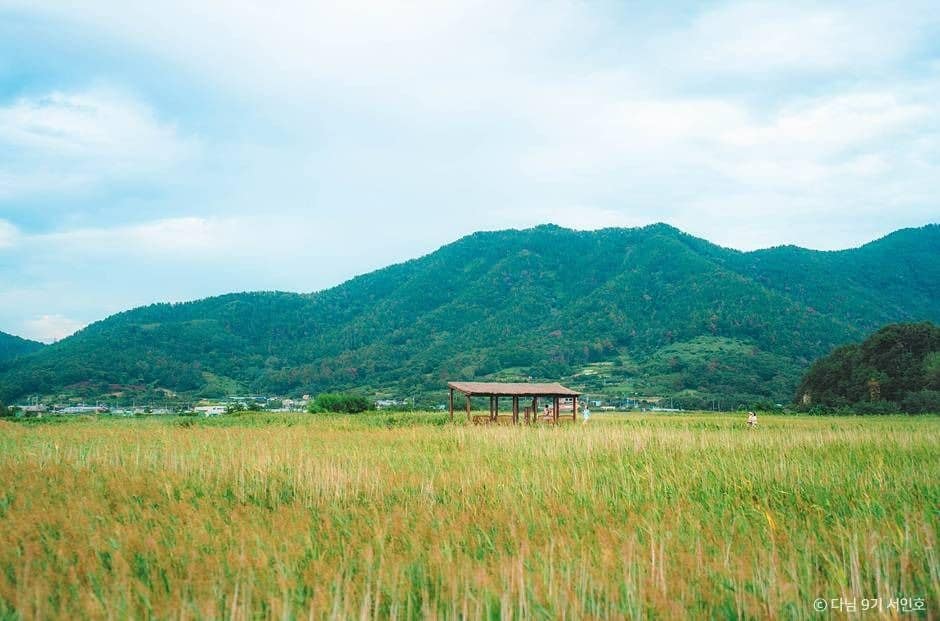 순천 당일치기 가볼만한곳_순천만습지 (1)