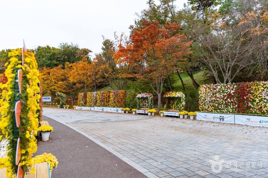 논산_논산 시민가족공원 (4)