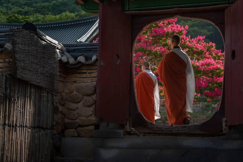 순천_송광사(순천) (5)