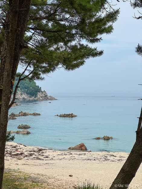 강원도 삼척 액티비티 여행_삼척 해양레일바이크_3-6.jpg
