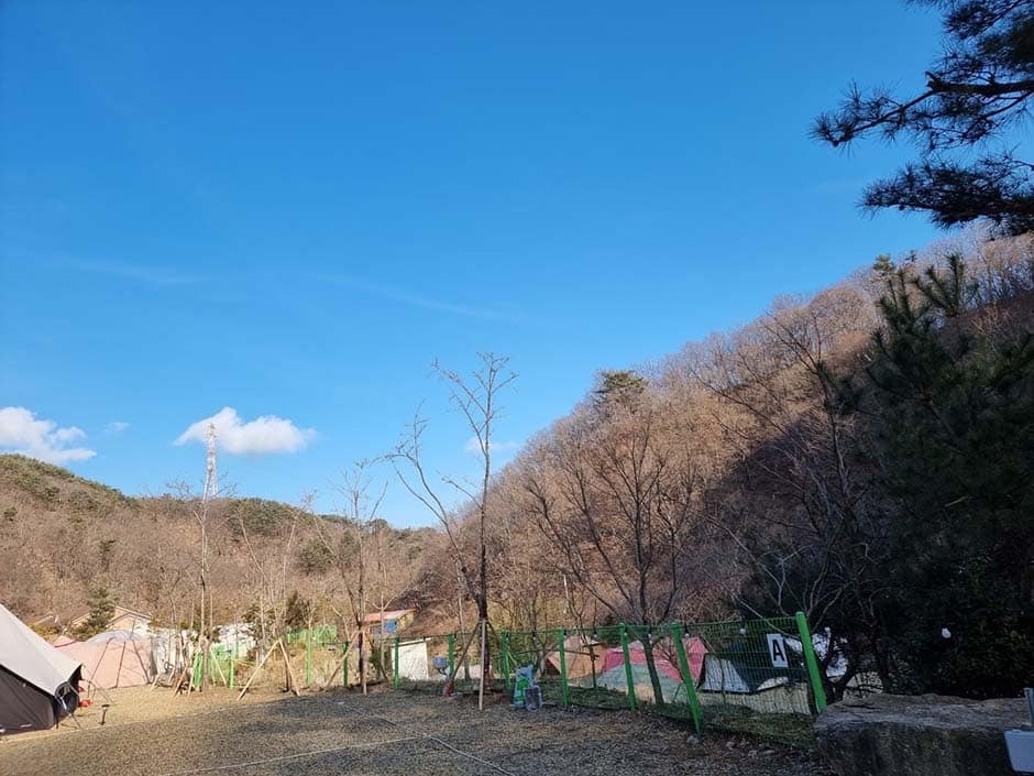 경북_경주시_라라캠핑장_캠핑장_2