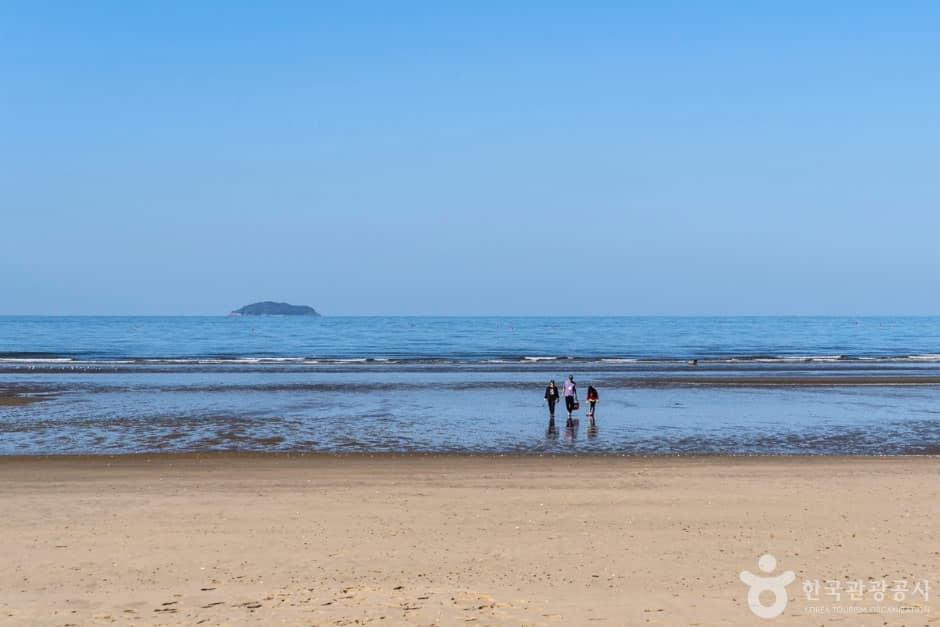밧개해수욕장 (15)