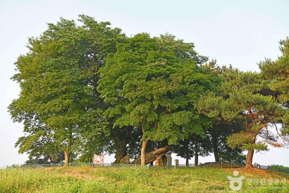 부여 산직리지석묘 (7)