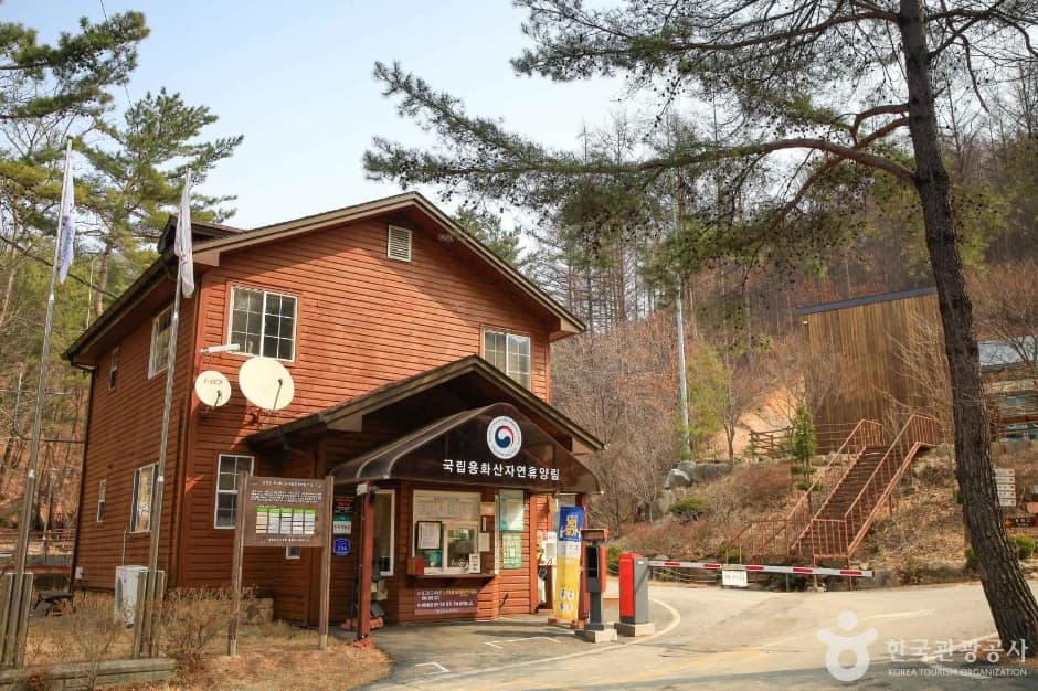 국립 용화산자연휴양림 (8)