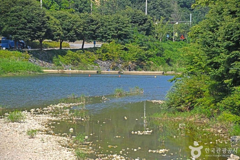 두남천 (2)