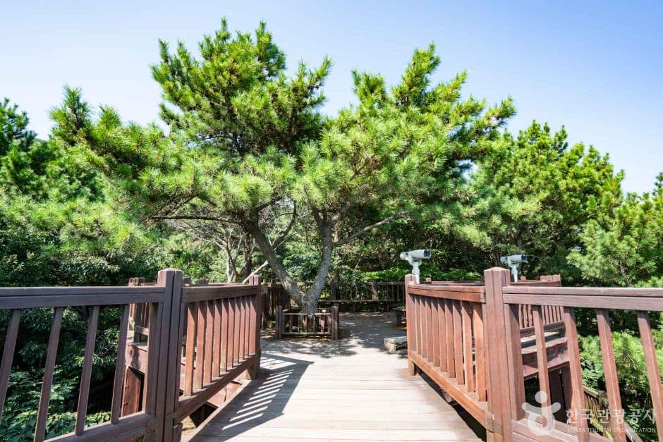 여차 홍포전망대 (1)