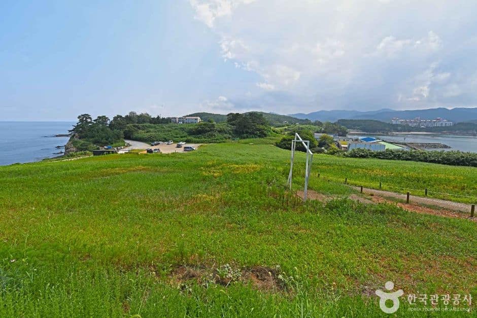 전북_부안_수성당유채꽃 (1)