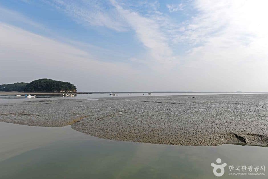 중구_예단포선착장 (6)