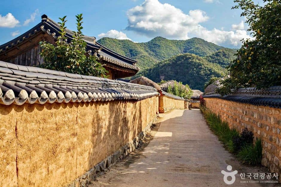 안동_안동 하회촌 (4)