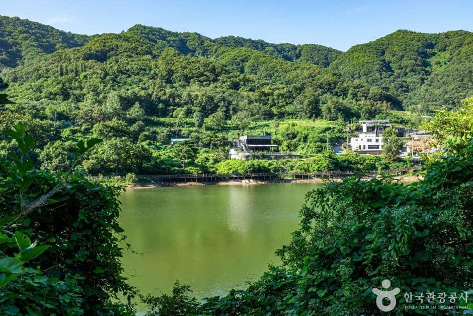 칠곡_유학지 수변공원 (7)