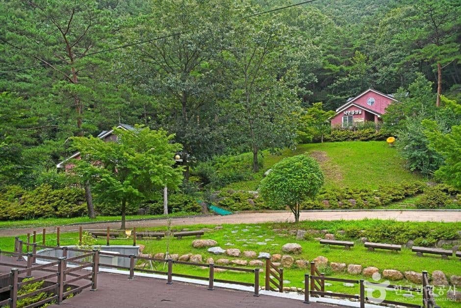 순천_순천자연휴양림 (2)