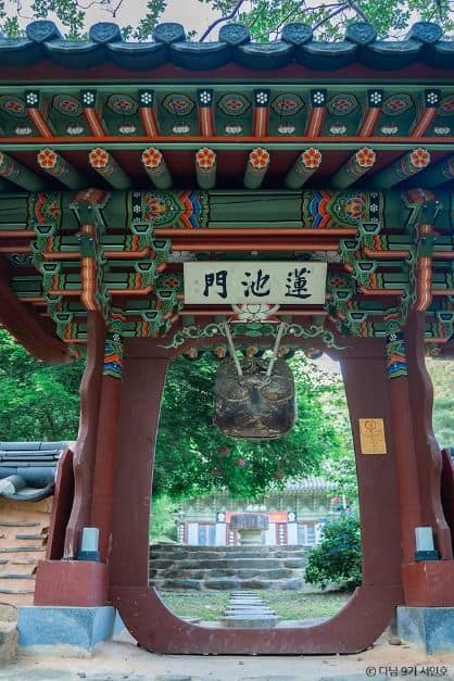 보성 가볼만한곳 보성 여름방학 가족 여행_천봉산 대원사_4-6